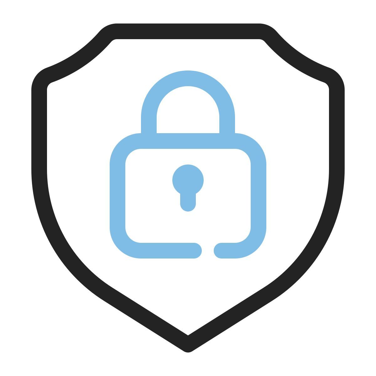 security icon
