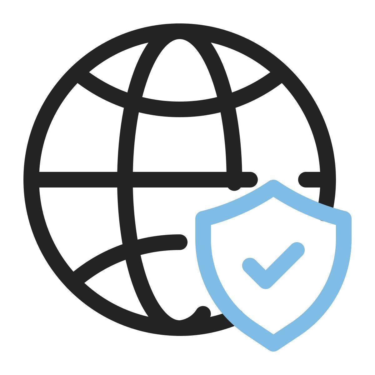 web security icon