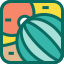 external ball-beachy-app-icons-royyan-wijaya icon