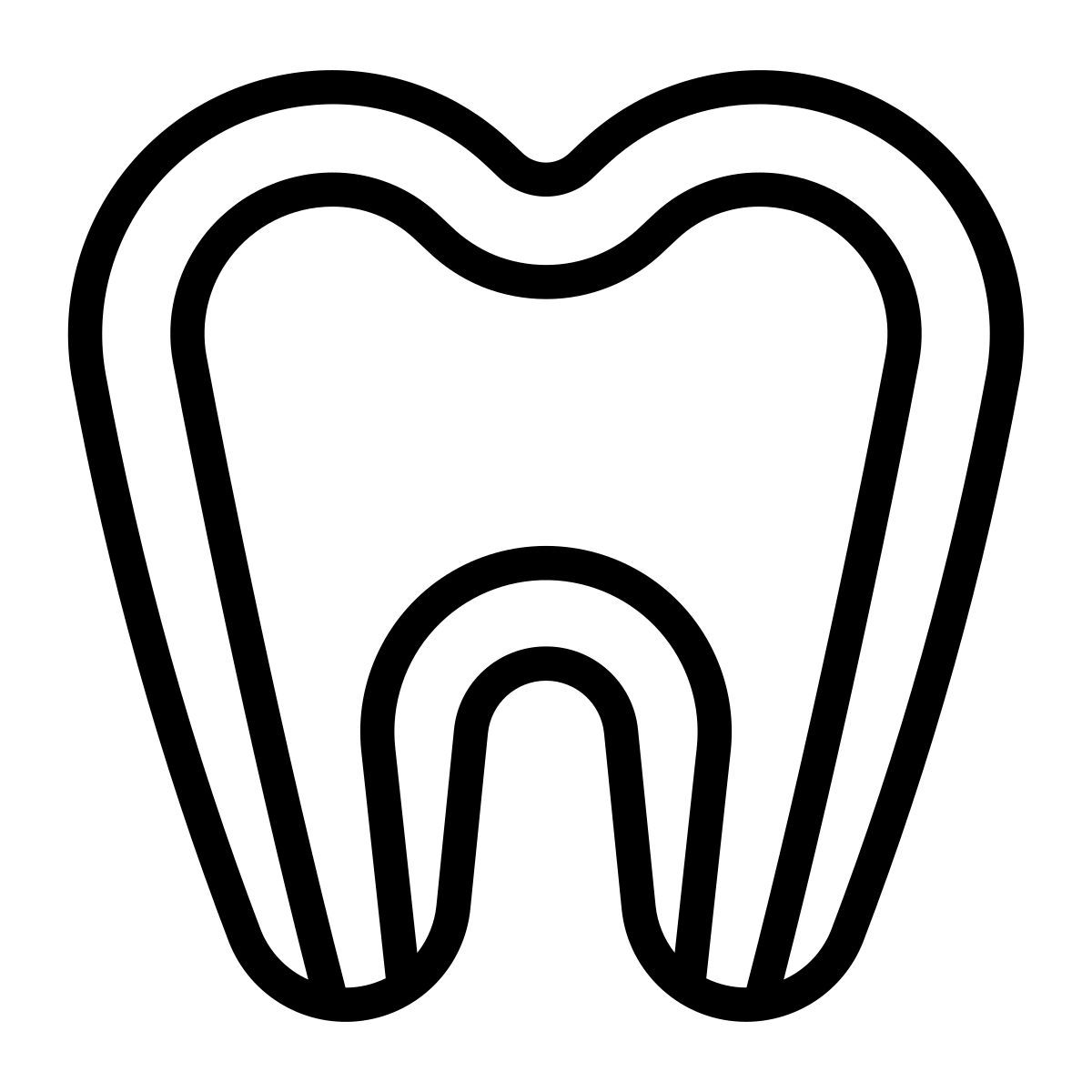 anatomy icon