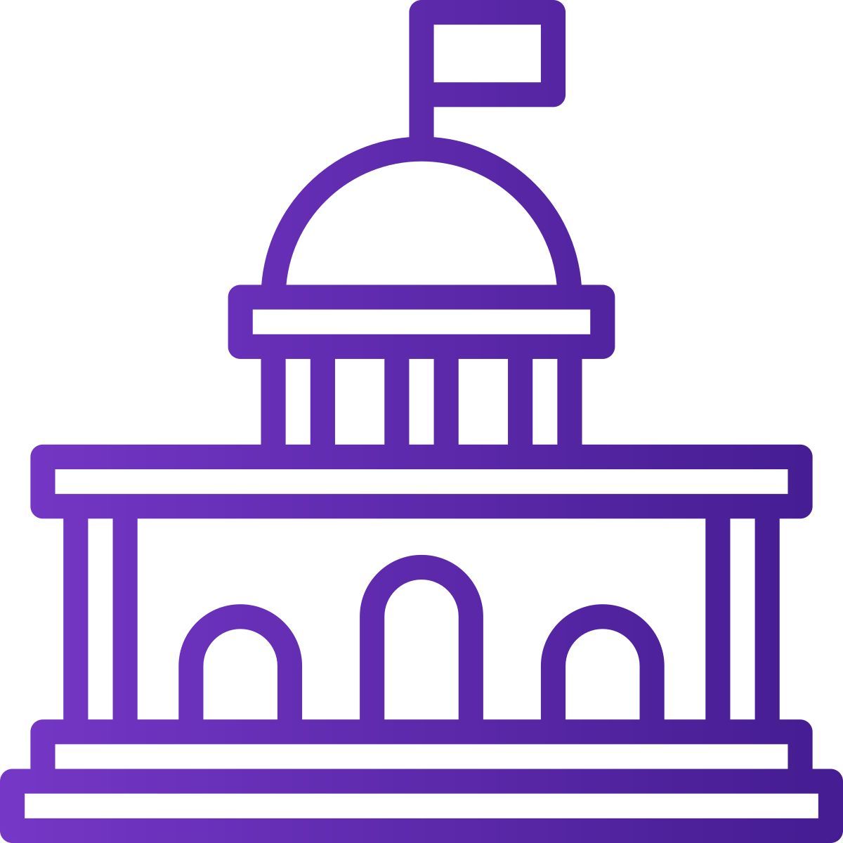government icon