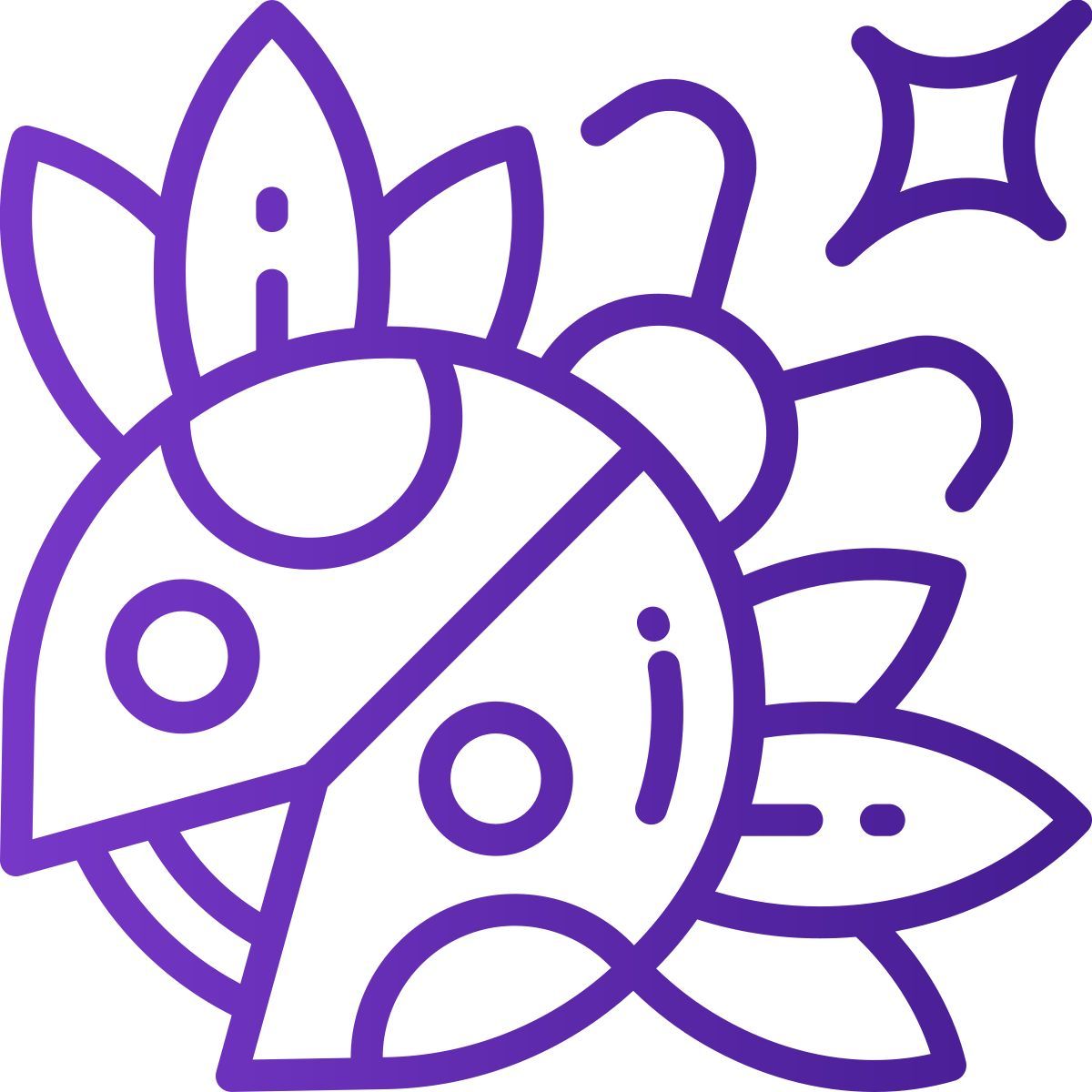 ladybug icon
