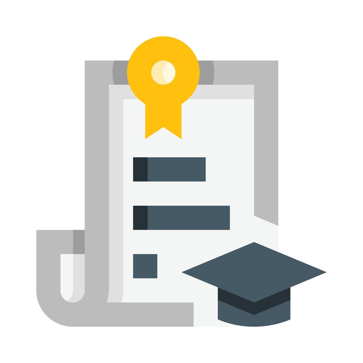 certificate icon