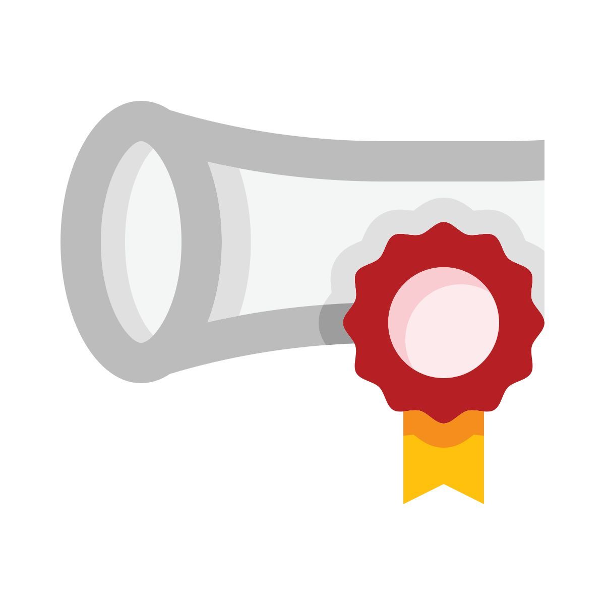 certificate icon