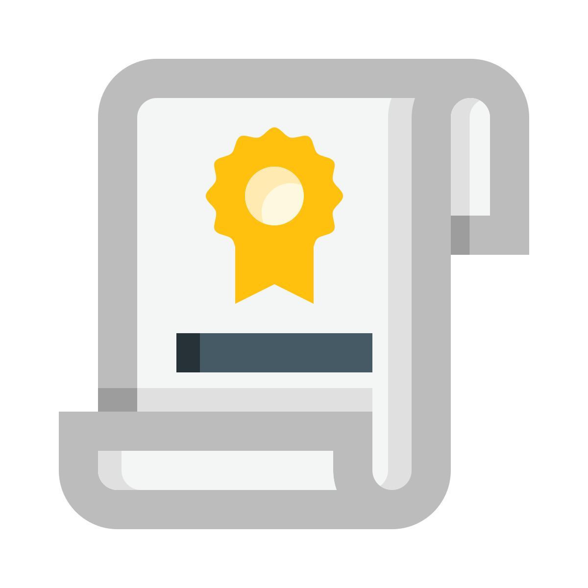 certificate icon