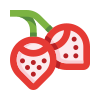 external berries-fruits-and-berries-basicons-color-danil-polshin icon