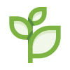 external branch-plants-basicons-color-danil-polshin icon