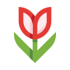 external flower-flowers-basicons-color-danil-polshin-3 icon