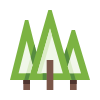 external forest-forest-basicons-color-danil-polshin-3 icon