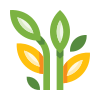 external garden-plants-basicons-color-danil-polshin icon