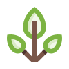 external herb-plants-basicons-color-danil-polshin icon