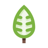 external leaves-leaves-basicons-color-danil-polshin-2 icon