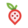 external strawberry-food-supplies-basicons-color-danil-polshin icon