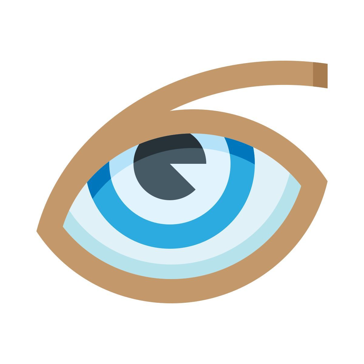 eye icon