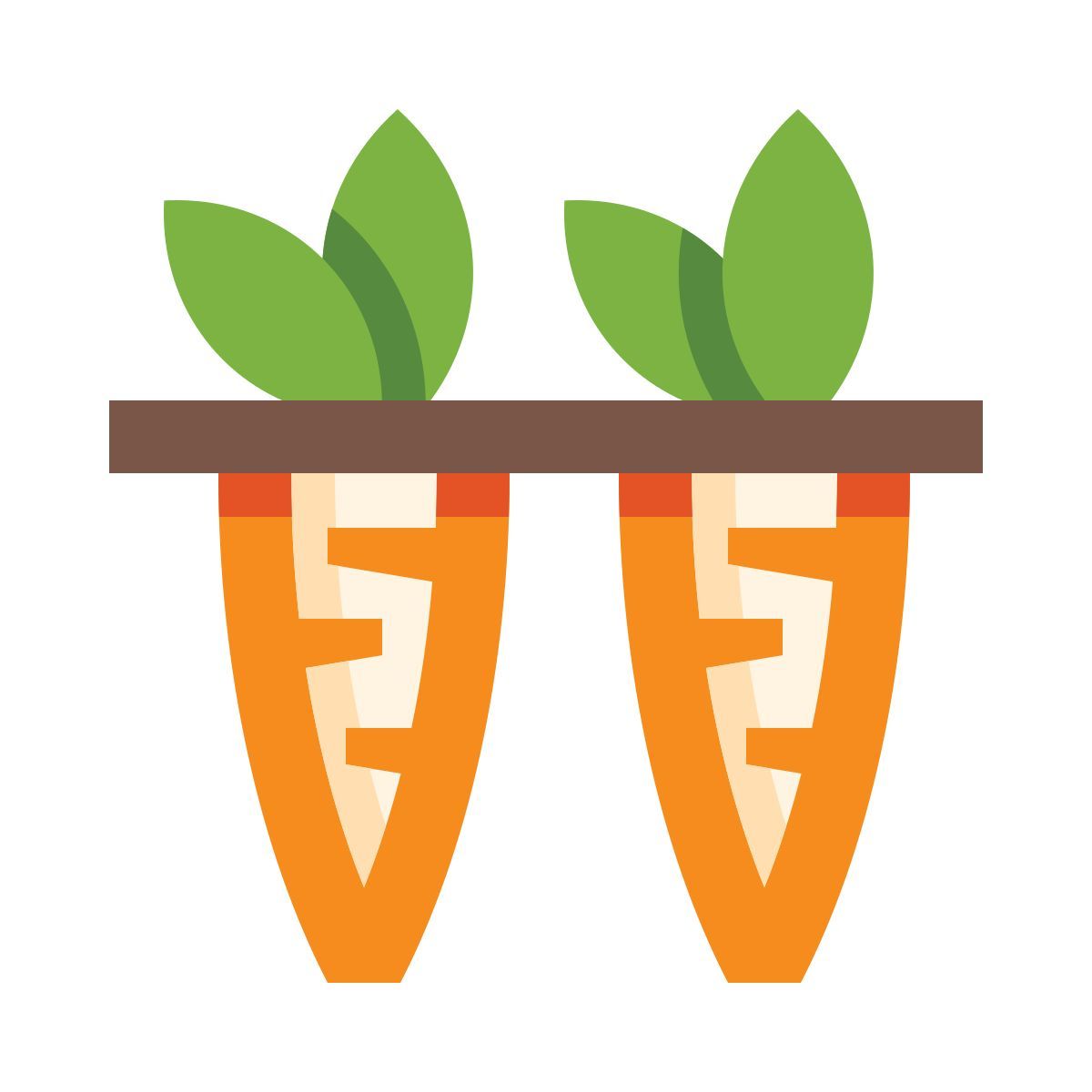 carrots icon