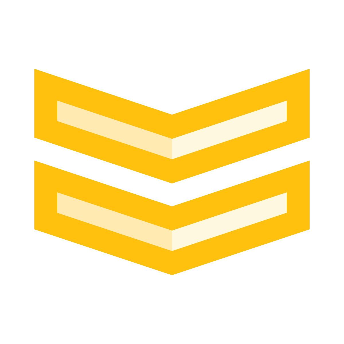 divisa icon