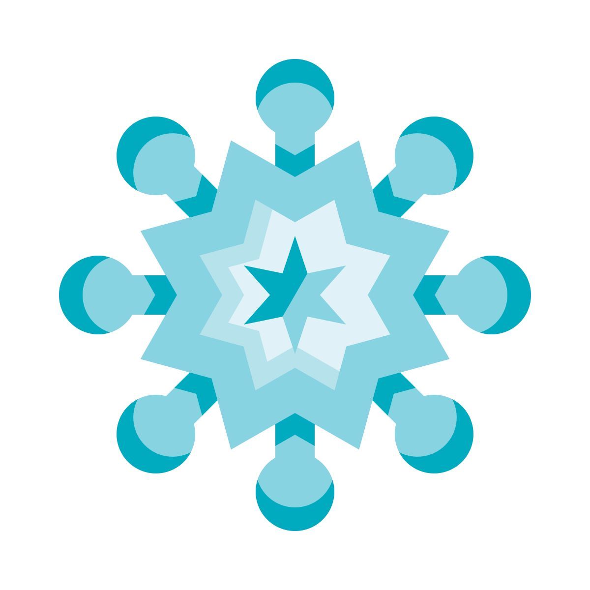 snowflake icon