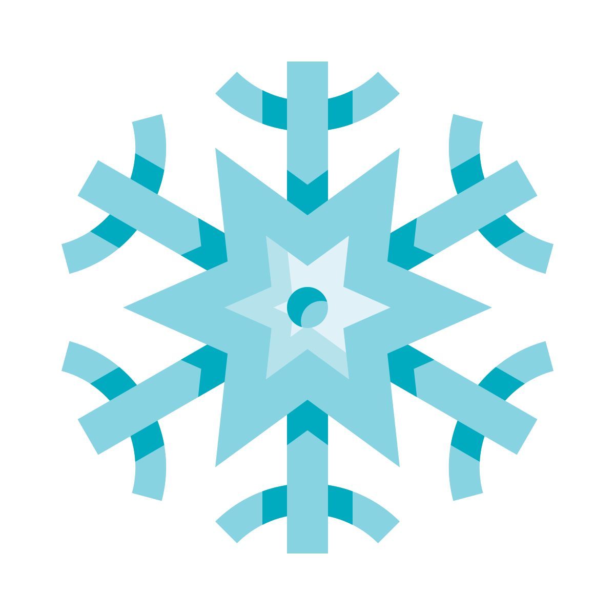 snowflake icon