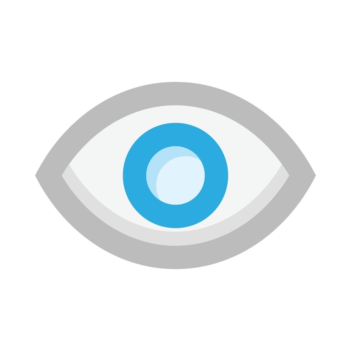visibile icon
