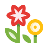 external Flowers-flowers-basicons-color-edtgraphics-2 icon