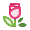 external Rose-flowers-basicons-color-edtgraphics-2 icon