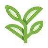 external Tea-leaves-plants-basicons-color-edtgraphics icon