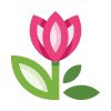 external Tulip-flowers-basicons-color-edtgraphics-2 icon
