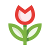 external Tulip-flowers-basicons-color-edtgraphics-4 icon