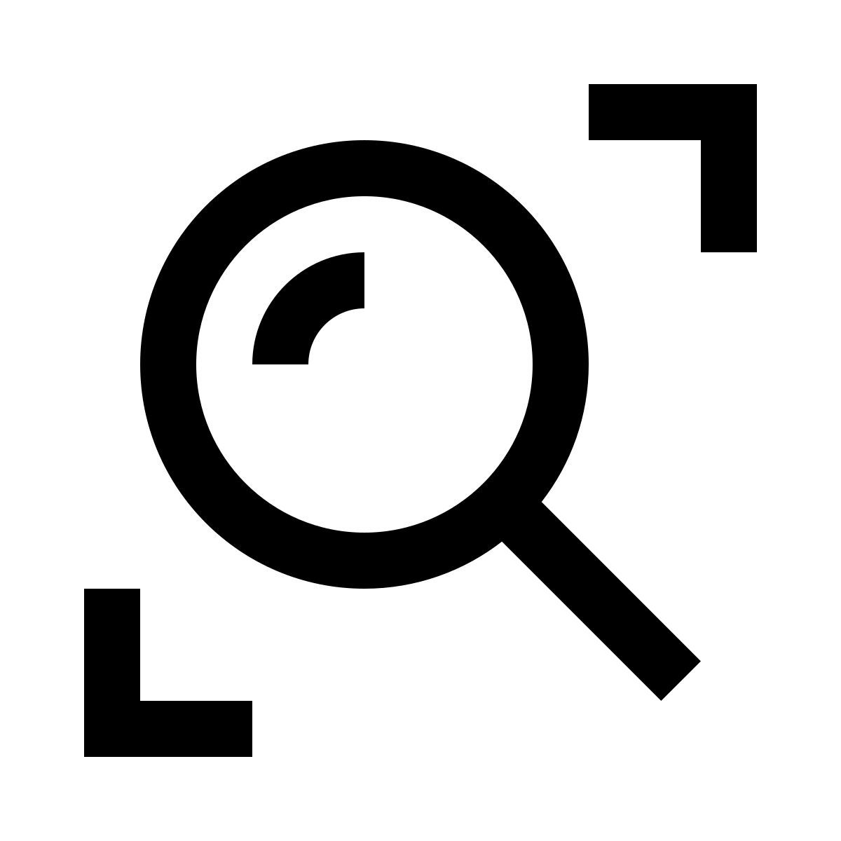 magnifier icon