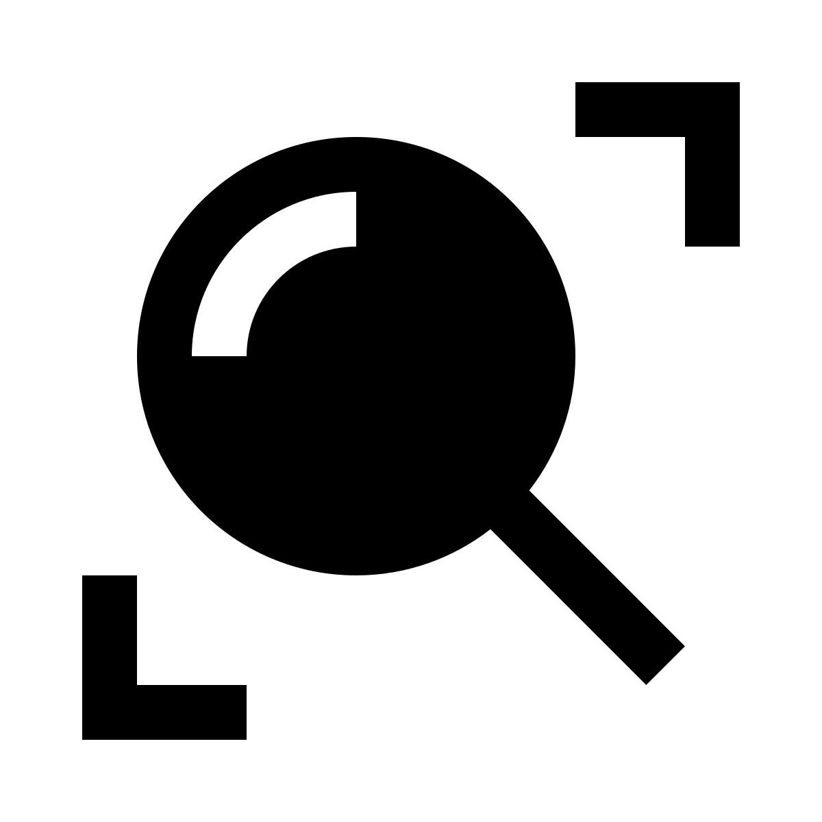 magnifier icon