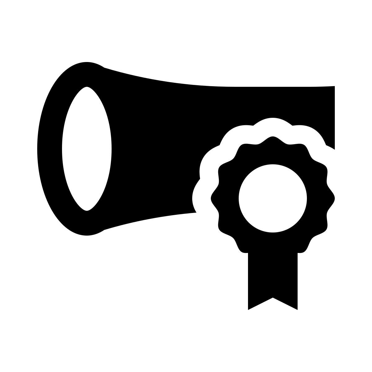 certificate icon