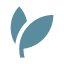 external-Leaves-leaves-basicons-solid-edtgraphics