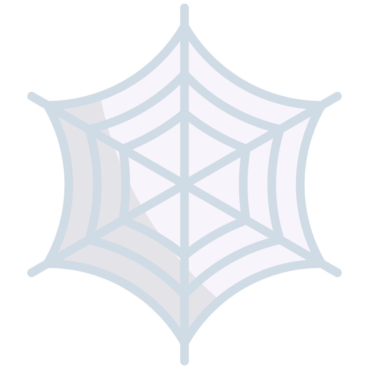spider web icon