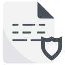 external Secure-file-and-document-bearicons-flat-bearicons icon