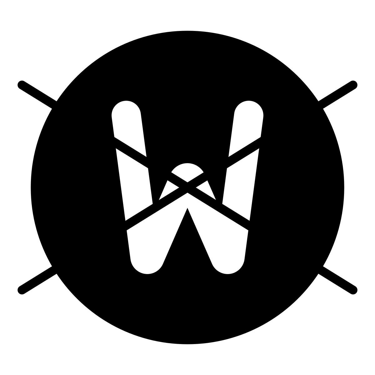 do not wet clean icon