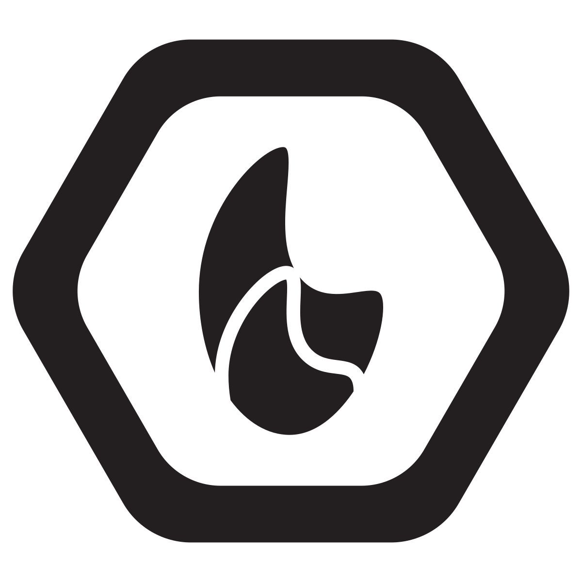 fire icon