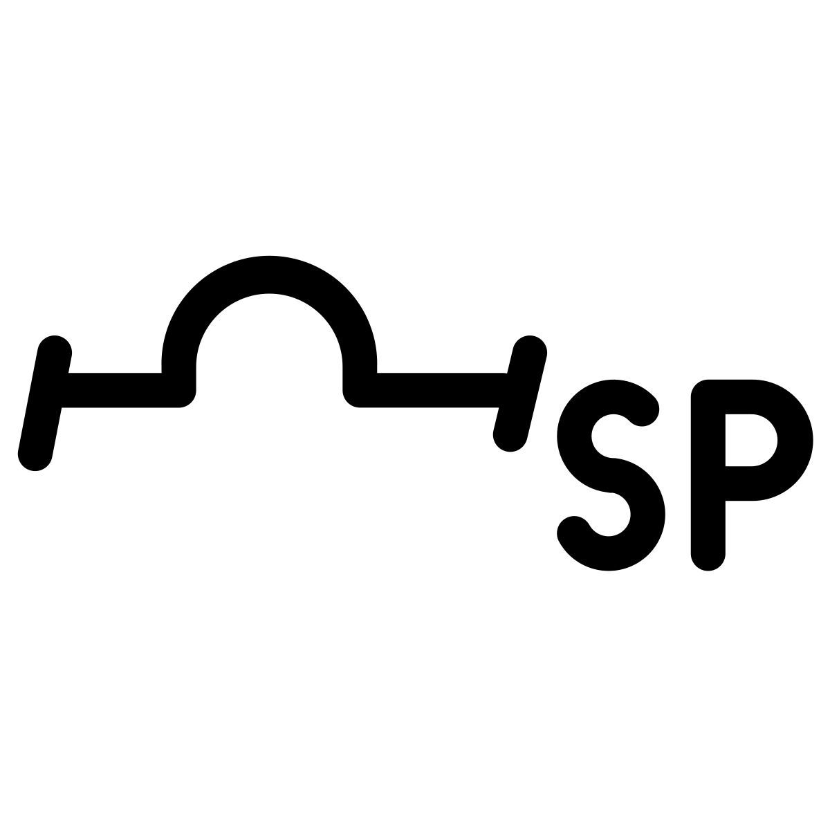 spirit icon