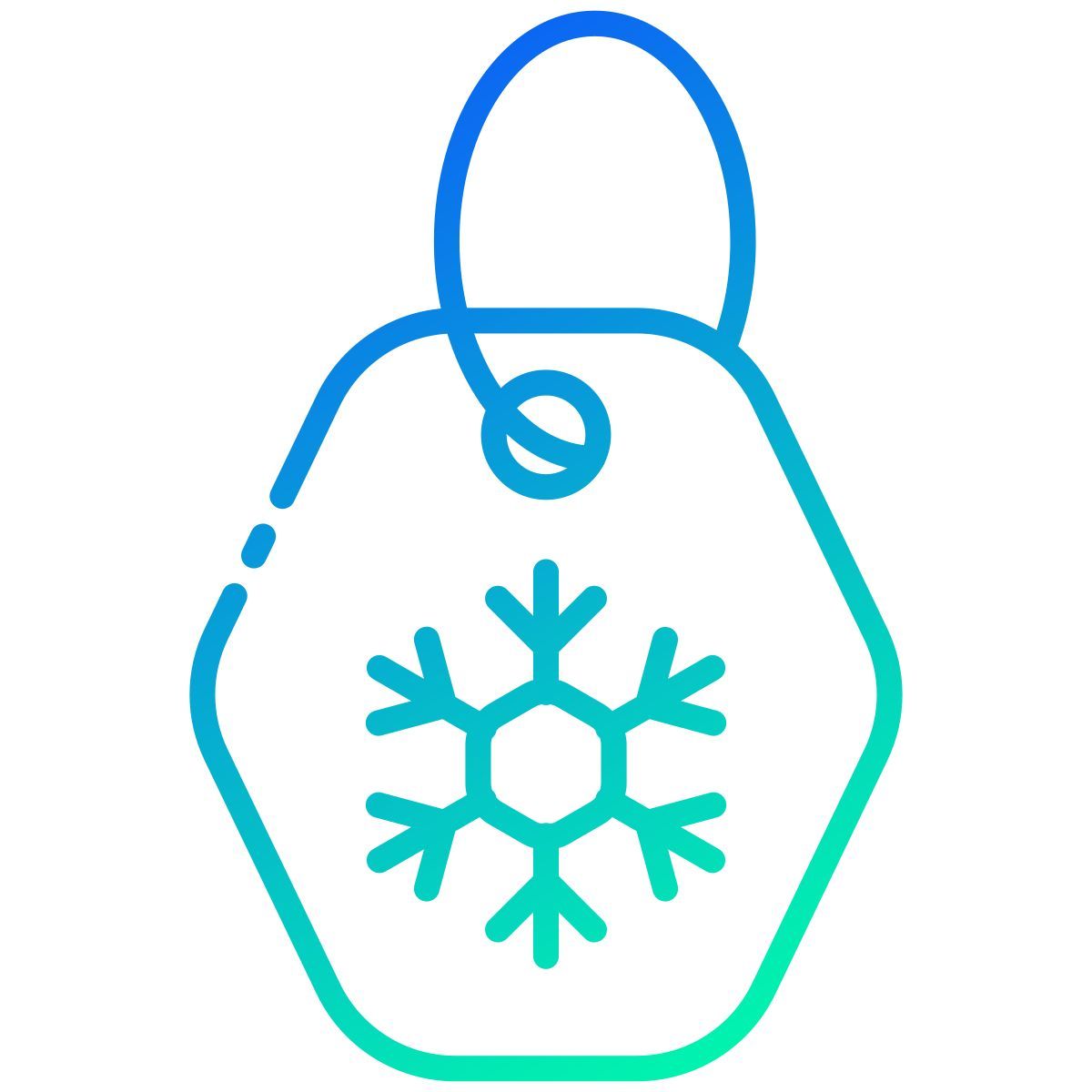 winter tag icon