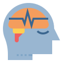external brain-ketogenic-diet-becris-flat-becris icon