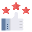 external review-customer-loyalty-program-becris-flat-becris icon