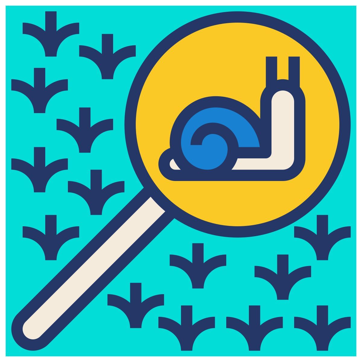 snail icon