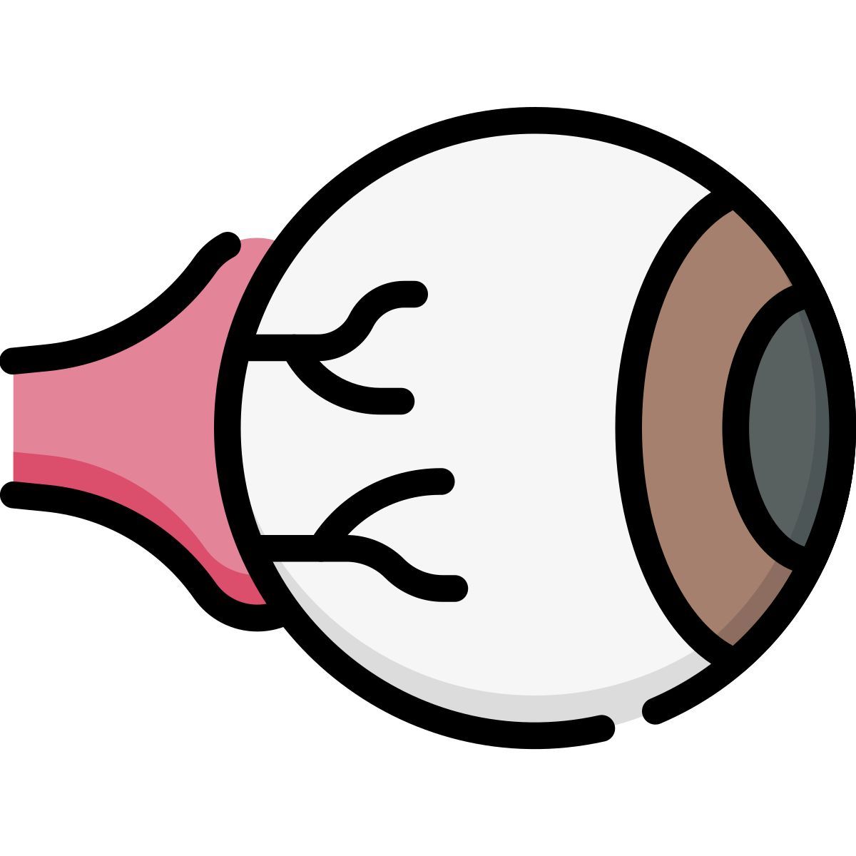eye ball icon