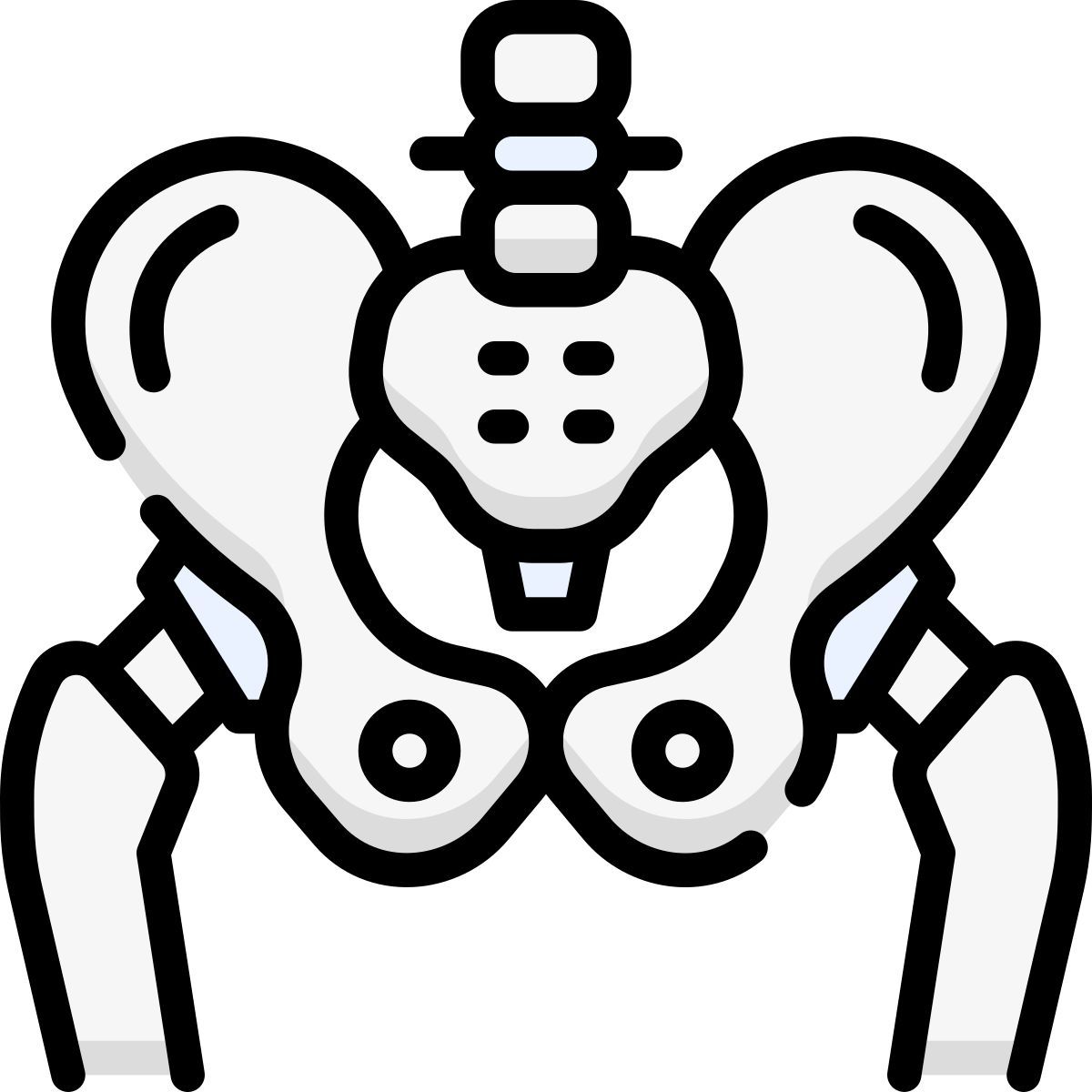 pelvis icon