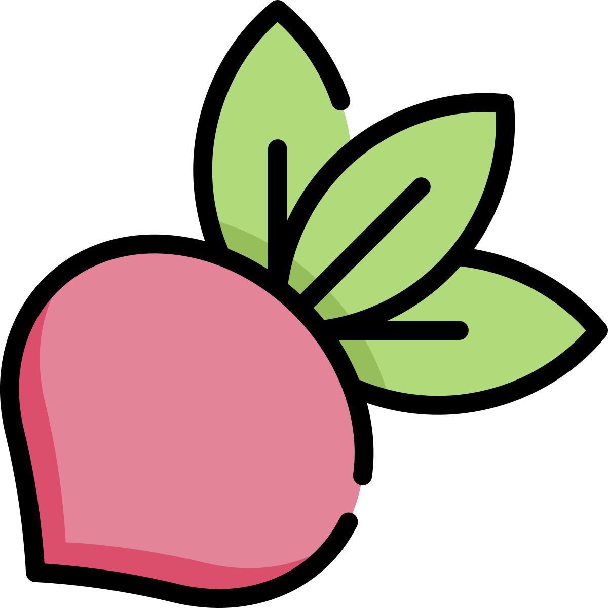 red radish icon