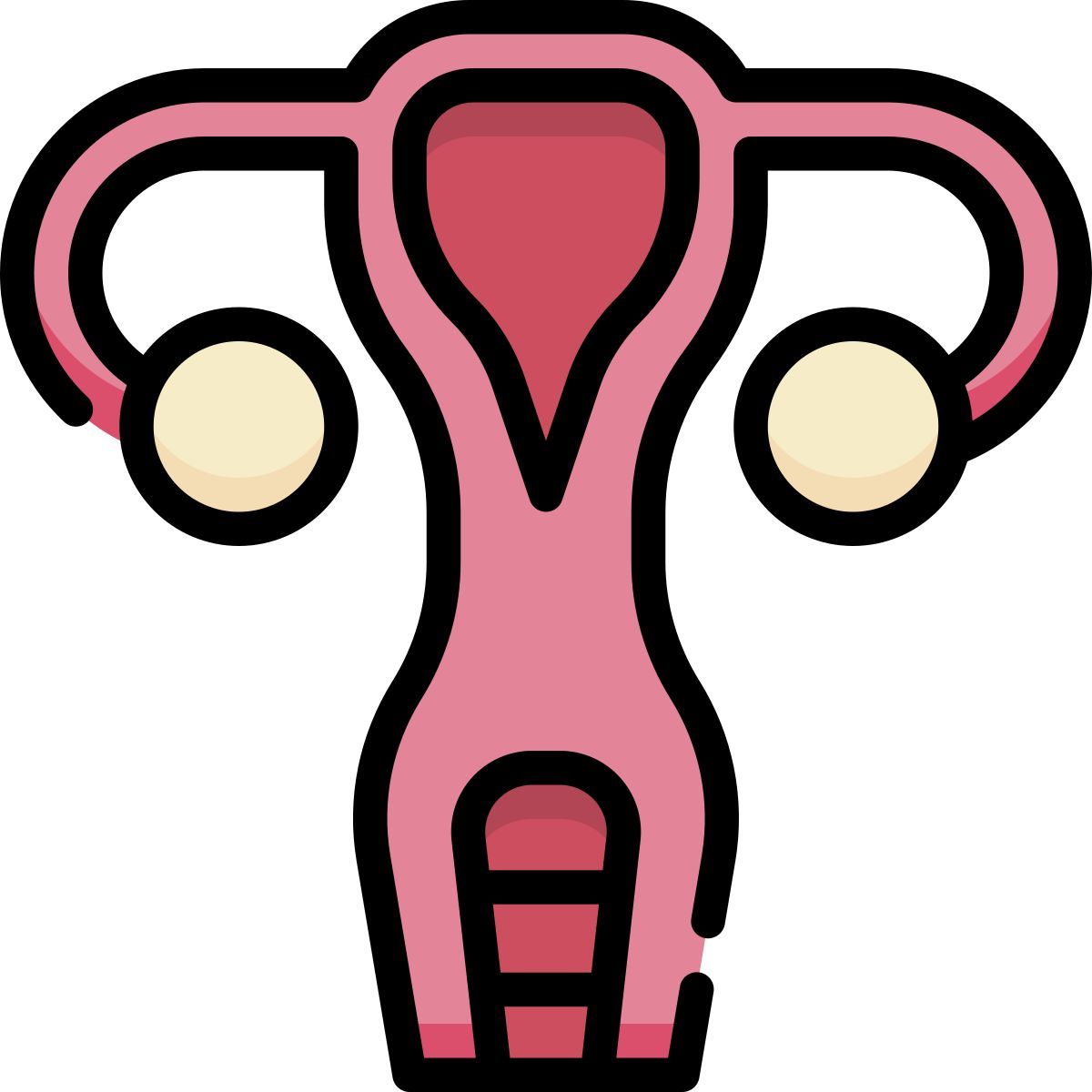 uterus icon