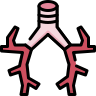 external Bronchus-organ-anatomy-beshi-color-kerismaker icon