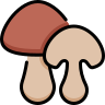 external Shitake-Mushroom-vegetable-beshi-color-kerismaker icon