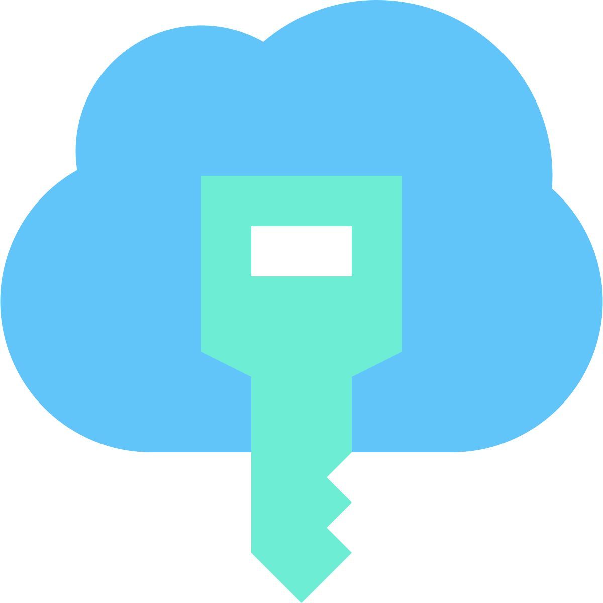 cloud key icon