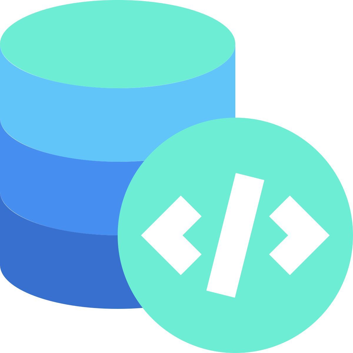 data code icon