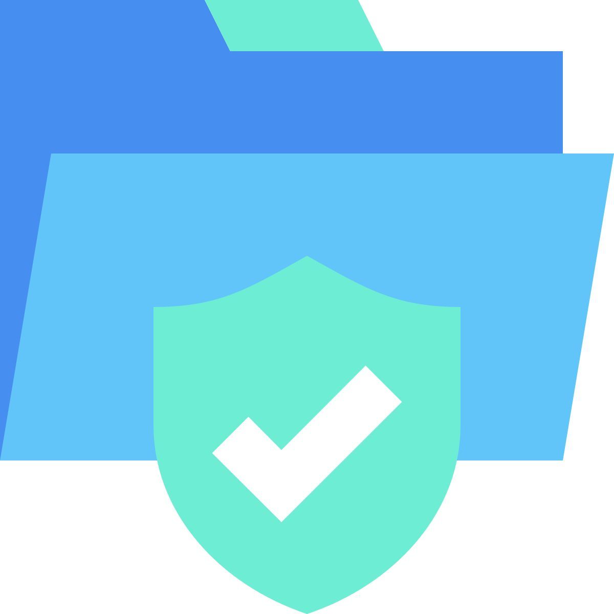 protection icon